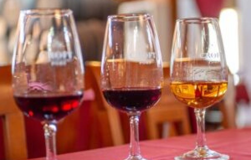 Visite Complète des vins