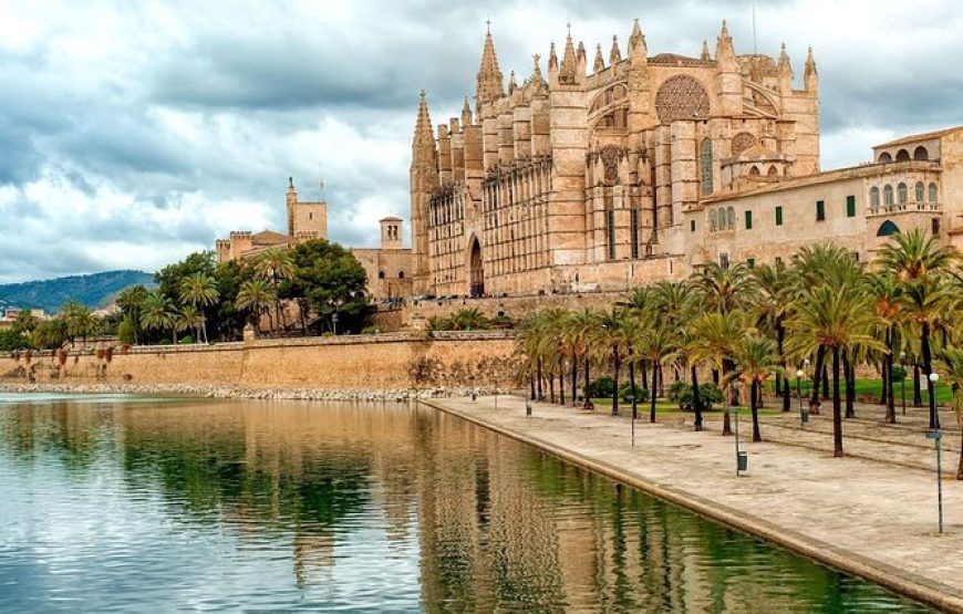 Palma
