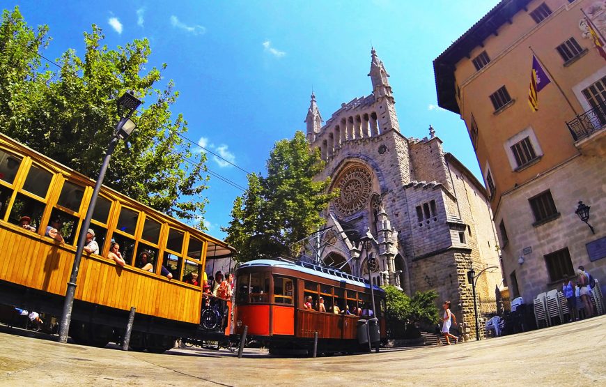 Palma