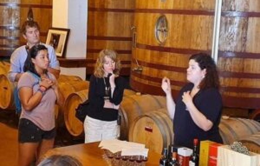 Visite Complète des vins
